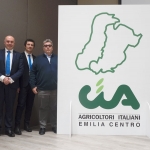 Bergami, Notari e Razzano
