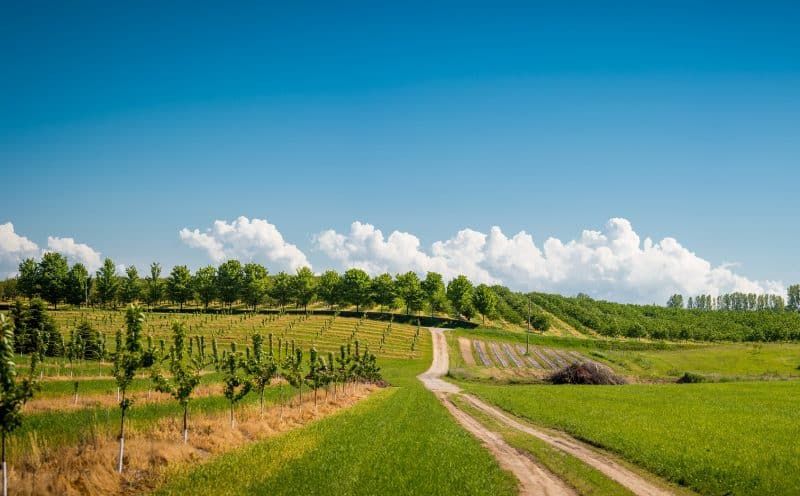 imprese agricole